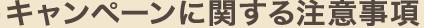 キャンペーンに関する注意事項