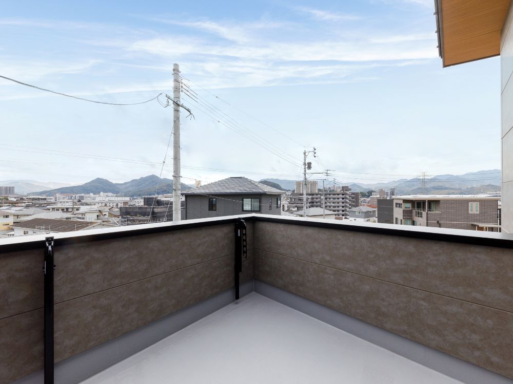 5号地